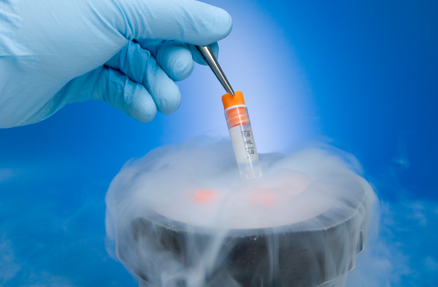 Introducció d'un criotub en nitrogen líquid